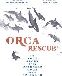 Orca Rescue